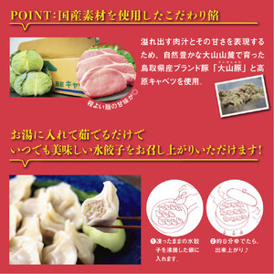 台湾水餃子 豚水餃子 60個セット (30個入り×2パック)