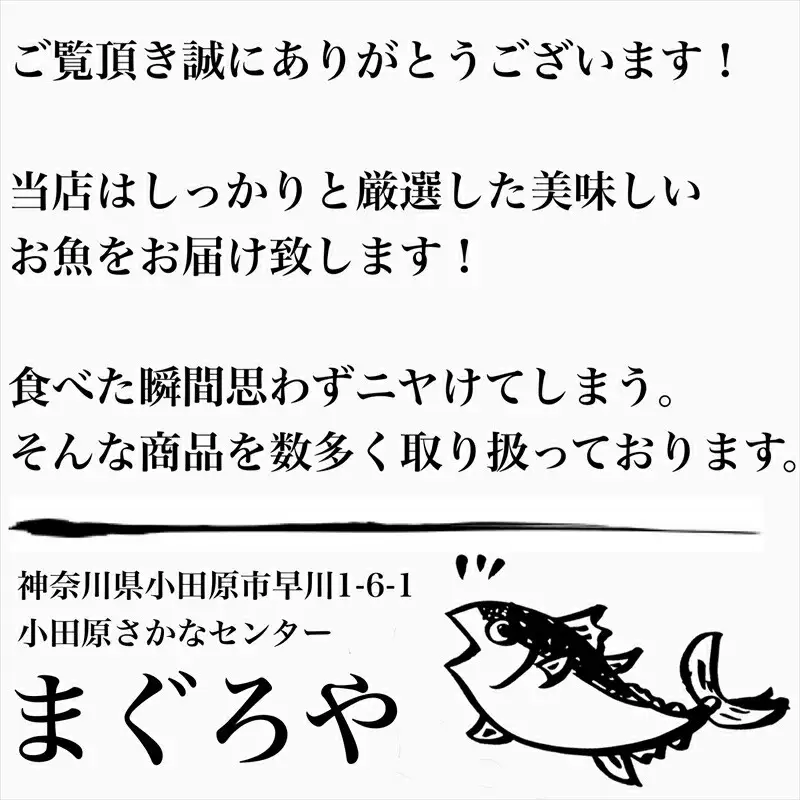 王様の塩辛 食べきり小パック 2枚【 惣菜 海鮮 いかの塩辛 珍味 お取り寄せ 御中元 お中元 お歳暮 父の日 母の日 贈り物 日本酒 焼酎 塩辛 塩辛】【家庭用 自宅用 贈答品 贈答用 ギフト 神奈川県 小田原市 】