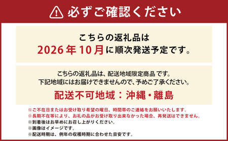山形おきたま産 りんご（中生種）品種おまかせ 秀品 5玉～8玉 （約2kg） 山形県産 フルーツ 果物 【2026年10月発送】