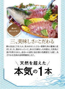 どっさり大和ブリ切り身 N072-YC330