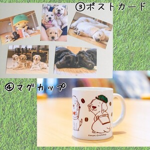 【返礼品相当額で盲導犬の育成を支援】支援額15,000円（記念品あり）盲導犬