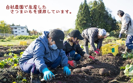 【ぶどうの森】冷凍アチイモ ×８袋　べにはるか【焼き芋 焼いも やきいも 国産】　【野菜・サツマイモ・さつまいも・べにはるか・食べ比べ・シルクスイート】　※2026年1月下旬～7月下旬頃に順次発送予定