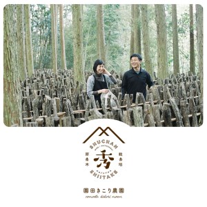 食感も香りもおいしい 乾燥椎茸 袋(小) 中葉(50g入り)×3袋セット