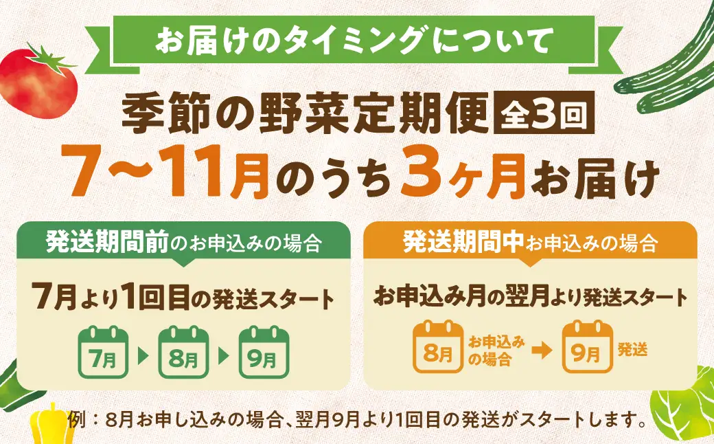【先行予約】3回定期便　3か月定期便【野菜定期便 7～11月】 朝採れ 野菜セット 5～8種 | 自然栽培 おまかせ トマト ナス キュウリ ゴーヤ オクラ ネギ ししとう 冬瓜 ジャガイモ 玉ねぎ 飛騨高山 よしま農園 CK100