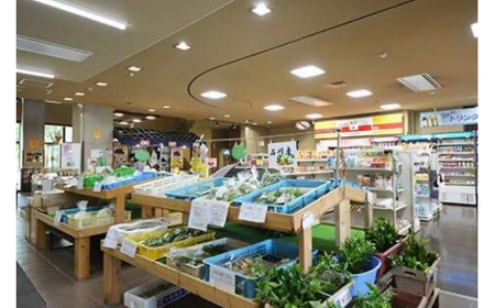 宿泊券 倶利伽羅塾 宿泊利用券 5,000円分 [津幡町役場 石川県 津幡町 28am0001]