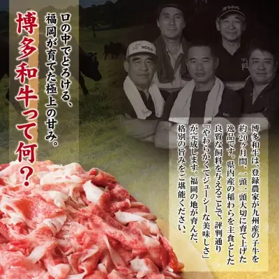 Y61-46 【訳あり】博多和牛 切り落とし1㎏ 牛肉