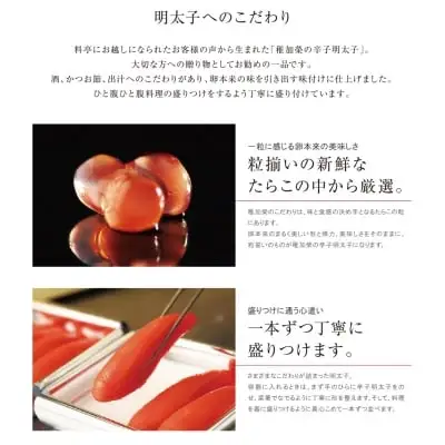 Y81-02 稚加榮 辛子明太子（化粧箱入）445g   MA4 明太子