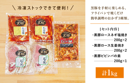 【鹿児島県産】味付け黒豚セット 3種類 計1kg（ネギ塩、生姜焼き、ビビンバ） 焼肉 総菜 おかず 簡単調理 お弁当 味付き ネギ塩 生姜焼き ビビンバ 小分け 冷凍 国産 黒豚 ロース  コワダヤ 