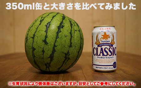 北海道産 小玉スイカ 約8kg 4〜6玉 なんぽろ小玉すいか 8月発送 シャリシャリ食感 南幌町産 NP1-270