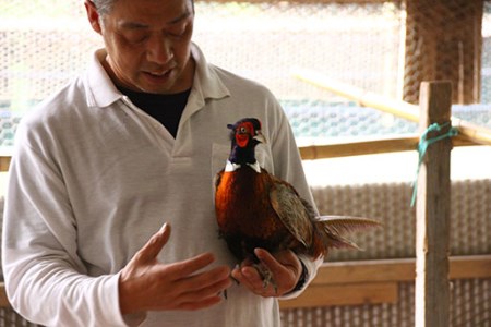 【きじ肉】土佐・本川 手箱"喜事"しお鍋セット団子付（２～３人前）