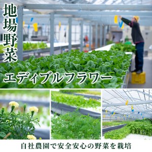 i595 ＜2名様・体験宿泊ペアチケット＞ひかりの郷体験宿泊券(1泊2食付・ツインルーム利用)体験 体験チケット 宿泊 ペアチケット スローライフ 温泉【ひかりの郷】