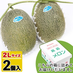 ＜先行予約受付中！2026年6月以降順次発送予定＞鹿児島県産！南国グリーンメロン(2Lサイズ×2個) メロン めろん 果物 スイーツ デザート フルーツ【あくね旬の店いきいき館】akn015-17