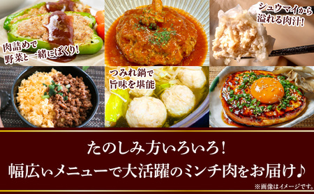 宮崎県産豚ミンチ＆宮崎県産鶏ミンチ 合計5kg 国産 豚肉 鶏肉 ミンチ セット 詰め合わせ 5kg 10パック 豚ミンチ 鶏ミンチ 豚 鶏 肉 小分け パック 冷凍 餃子 そぼろ ハンバーグ つくね カレー グルメ お取り寄せ