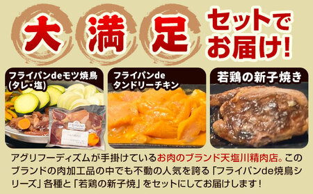 肉 鶏肉 天塩川精肉店セット フライパンde焼鳥 モツタレ 160g×1 モツ塩 160g×1 タンドリーチキン 160g×1 若鶏の新子焼 500g×1 アグリフーディズム 《30日以内に出荷予定(土日祝除く)》北海道 名寄市 詰め合わせ 冷凍【配送不可地域あり】(離島)