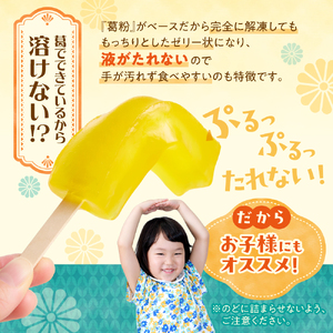 くずバー アイス （18本） アイス 北海道 人気