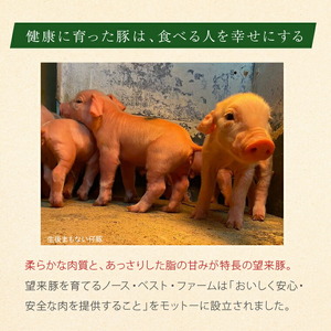 厚田のぶたまん（130g×8個）豚まん