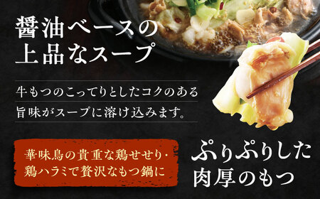 【全6回定期便】博多 華味鳥  もつ鍋 セット ( 醤油味 ) 3-4人前《糸島》【トリゼンフーズ】 [AIB013]
