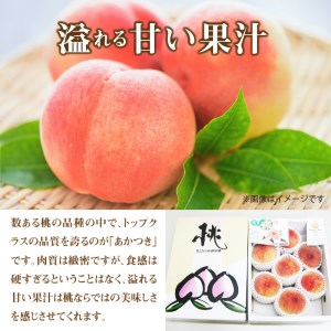 高糖度もも 「あかつき」 約2kg化粧箱入り