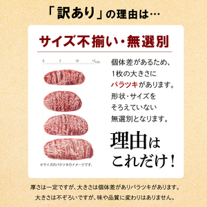 牛肉 サーロインステーキ 2kg ホクビー 訳あり ステーキ 北海道石狩市 