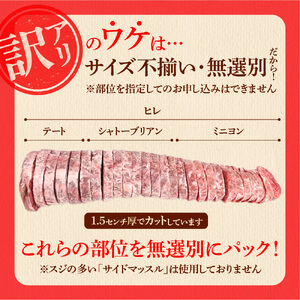 ステーキ 450g 牛肉 ヒレステーキ｜訳あり シャトーブリアン 北海道 石狩市