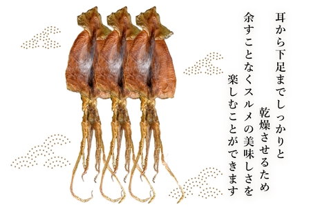 北海道産 スルメイカ 10枚 おつまみ 珍味 _HD231-003