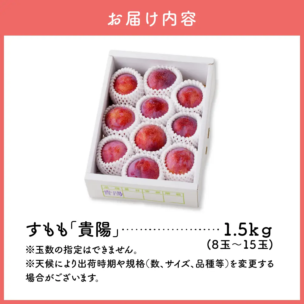 すもも（貴陽）１.５ｋｇ　0055-2607