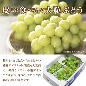 厳選 「ハウスシャインマスカット」 約2kg