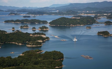 九十九島かき本舗岩がきC 夏牡蠣 生牡蠣 殻付き牡蠣 ブランド牡蠣 牡蠣 