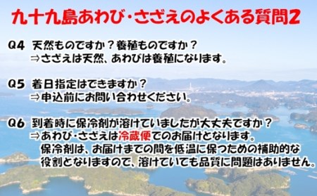産地直送【 あわび・さざえセット】生食可 1.2kg あわび A176