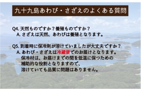 産地直送【 あわび・さざえセット】2.2kg 生食可 A178a