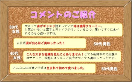 かき【 岩牡蠣 】九十九島岩かき 産地直送 生食可 A162 