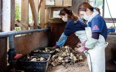 牡蠣 【 九十九島 】 牡蠣 3.5kg 産地直送 カキ A164