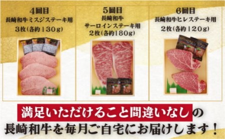 【 6ヶ月定期便 】長崎和牛おまかせ ステーキ便 牛肉 和牛 ステーキ B159