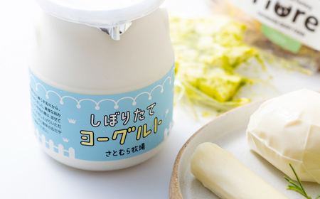 〈チーズ工房Fiore〉佐世保産ナチュラルチーズ･ヨーグルトセット