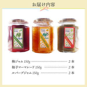 びりゅう館手作り　ジャム6本セット 無添加 ジャム 梅 ルバーブ ゆず セット フルーツ 手作り びりゅう館 手作りジャム6本セット プレゼント 贈り物 贈答 ギフト 夏ギフト 送料無料 山梨県 上野原市
