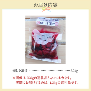 ＼先行予約！／ 西原ばあちゃんの手作り梅しそ漬け 梅しそ漬け 1.2kg 無添加 山梨県産 梅干し 手作り 人気 おすすめ うめぼし 紫蘇 しそ 国産 うめ ウメ ご飯 おにぎり 昔ながら やわらか ジューシー 風味豊か 自然の味 お取り寄せ ギフト プレゼント 贈り物 贈答 送料無料 山梨県 上野原市