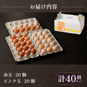【山梨県産 卵】 たまご 卵 生卵 卵かけご飯 お歳暮 高級 高級卵 濃厚鶏卵 新鮮 セット ミシュラン 安藤鶏卵のこだわり卵 40個 プレゼント 贈答 贈り物 送料無料 山梨県 上野原市