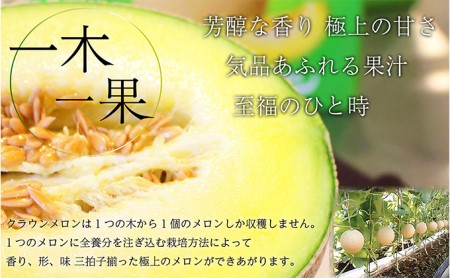 【3か月定期便】クラウンメロン 訳あり2玉 果物類 メロン青肉 3回 フルーツ 