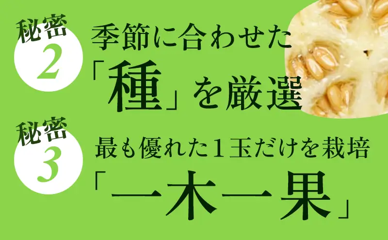 【3ヶ月定期便】クラウンメロン 白等級 1.3kg前後 1玉入り 果物類 メロン青肉 3回 フルーツ 