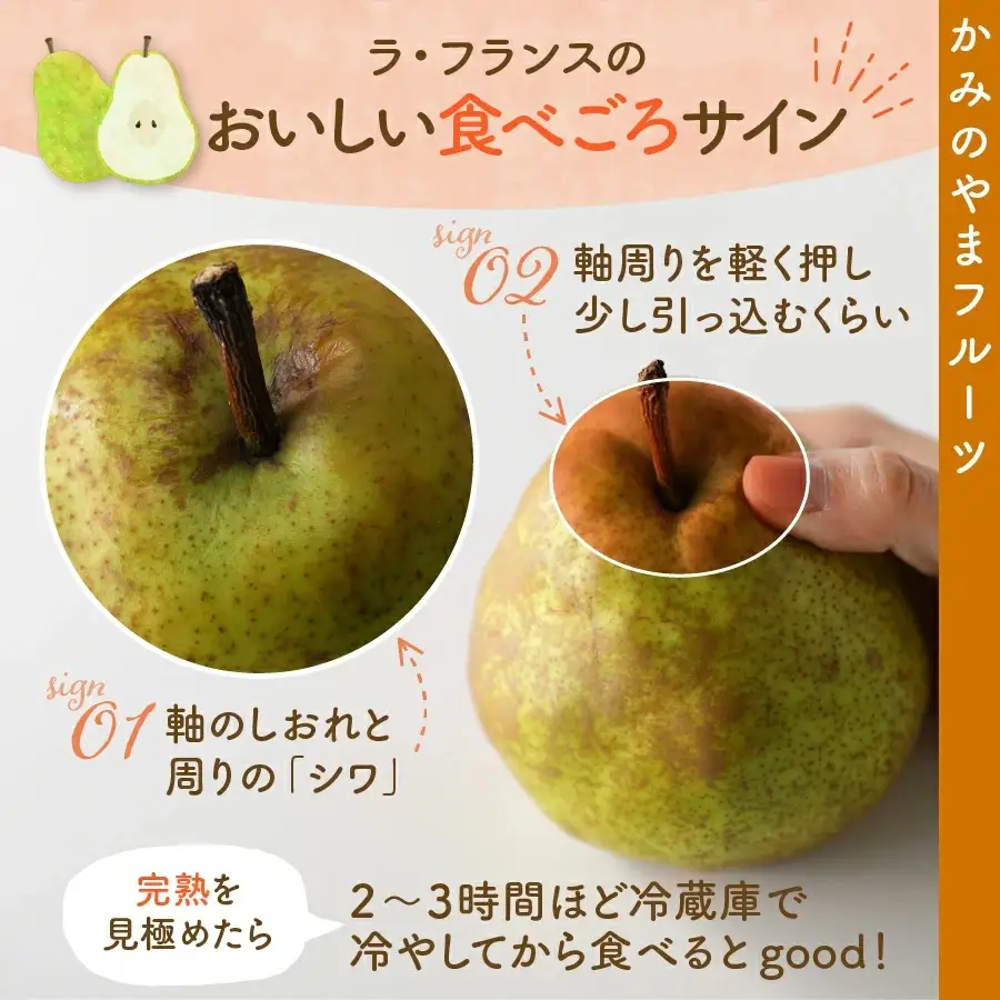 りんごとラ・フランス詰合せ　３ｋｇ　特秀品　贈答用　0007-2602
