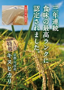 令和5年産 米 10kg 京都丹波産 キヌヒカリ 白米＜JA京都 たわわ朝霧＞ 発送に合わせて精米