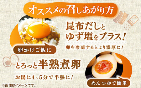 【特選卵】素直な恋たまご 60個 [JAP001]