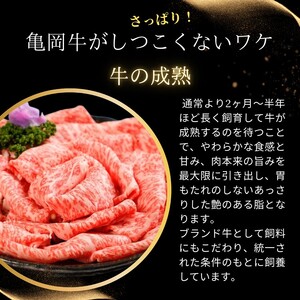 亀岡牛 肩ローススライス 500g すき焼き すき焼き