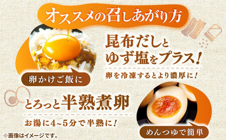 【全12回定期便】【特選卵】素直な恋たまご 60個 [JAP005]