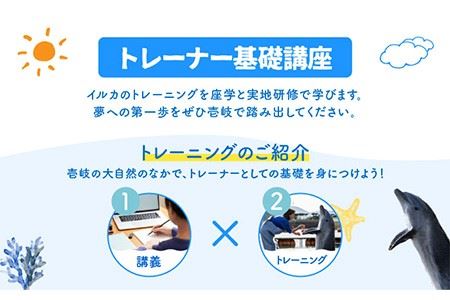 ベーシック・ドルフィントレーナー・プログラム 《壱岐市》【壱岐イルカパーク＆リゾート】[JBF003] 220000 220000円 22万円 体験