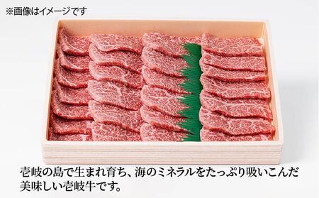 【全6回定期便】壱岐牛焼き肉セット 500g [JCG055]