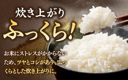 【全3回定期便】【R7年度産】天日自然乾燥米こしひかり 5kg [JCZ004] コシヒカリ