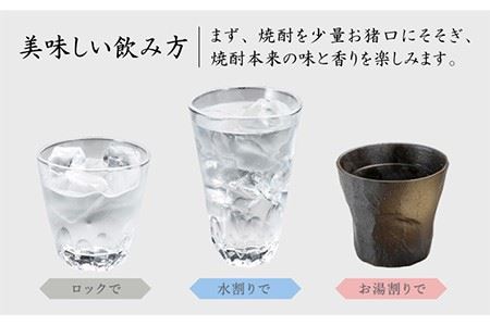 麦焼酎 隆美焼酎 25度 720ml 2本 《壱岐市》【天下御免】[JDB006]焼酎 むぎ焼酎 お酒 14000 14000円 のし ギフト