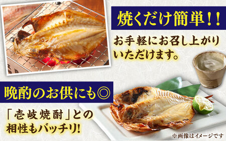 旬の干物 おまかせ詰め合わせ《竹》（アジ・イカ・カサゴなど）[JDR002]