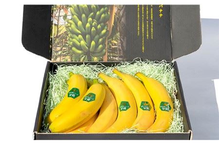 壱岐王様バナナ 1kg（5-7本程度） [JEL001] ばなな